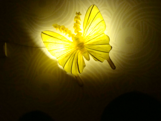 酒吧里漂亮的蝴蝶灯