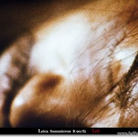 Leica Summicron R90/f2下的东邪西毒终极版
